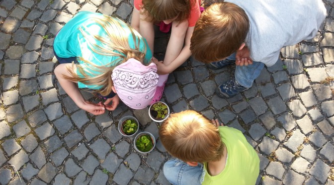 Bullerbü für Hessen