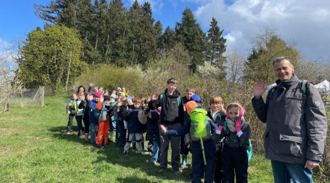 Pflanzen und Insekten unserer Heimat